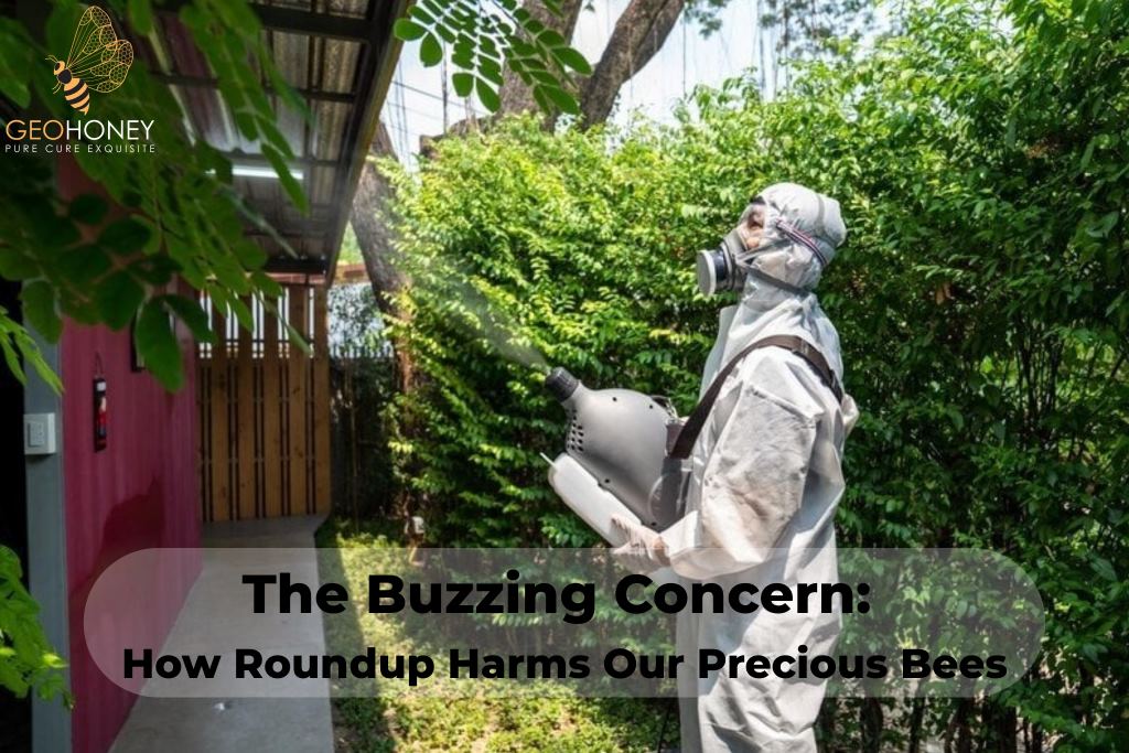 Bees pollinating a flower, the detrimental impact of Roundup herbicide on bee populations.